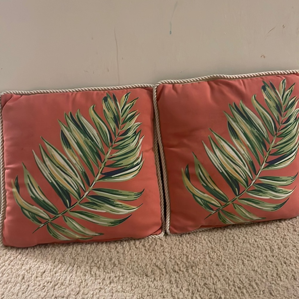 Outdoor/indoor Pillows